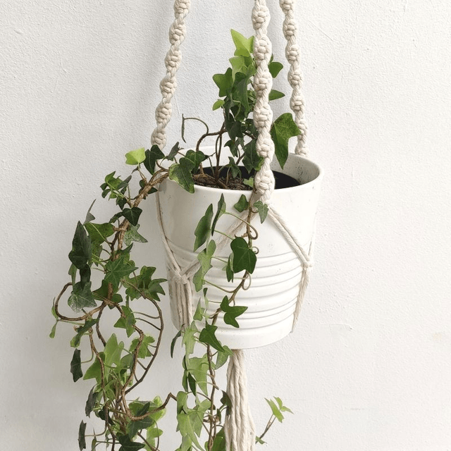 Porte-plante "torsade"