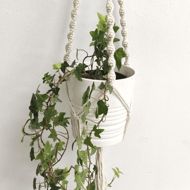 Porte-plante &quot;torsade&quot;